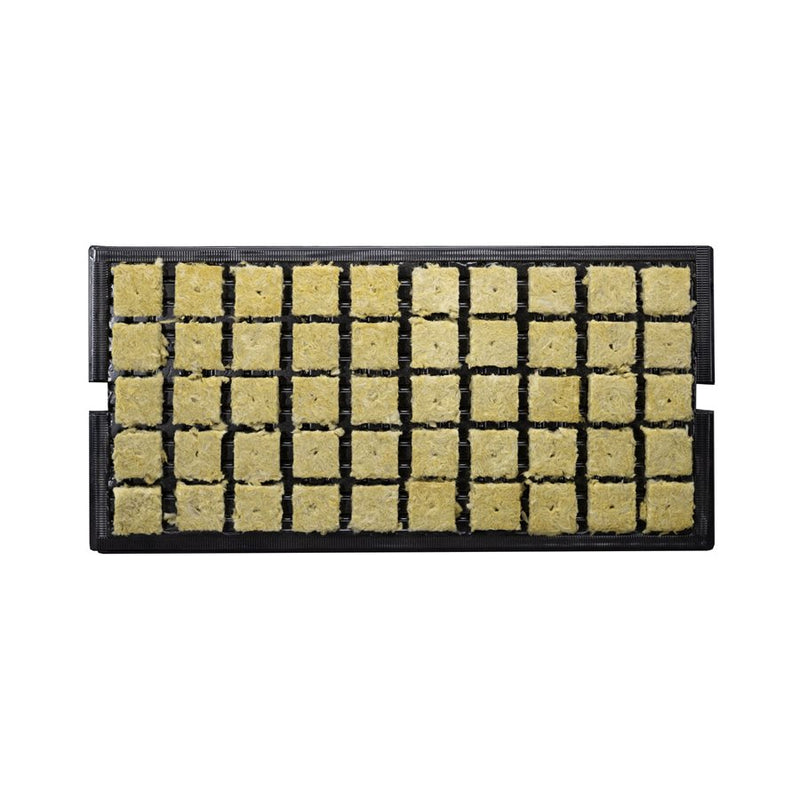 GRODAN SBS A-OK PLUGS 1.5'' 36/40 PLATEAU (50)