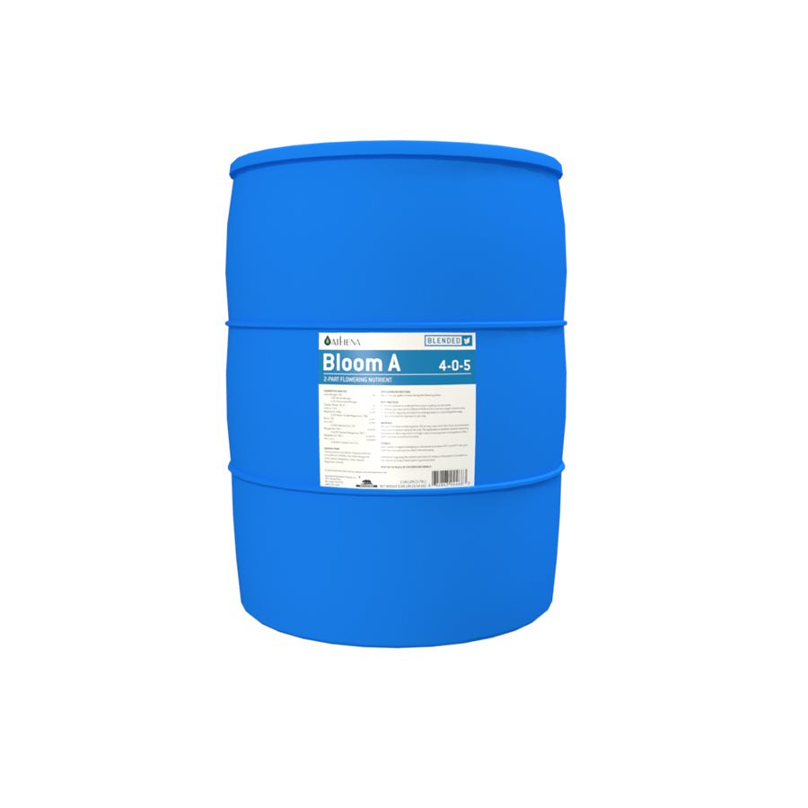 Athena Bloom A (4-0-5)