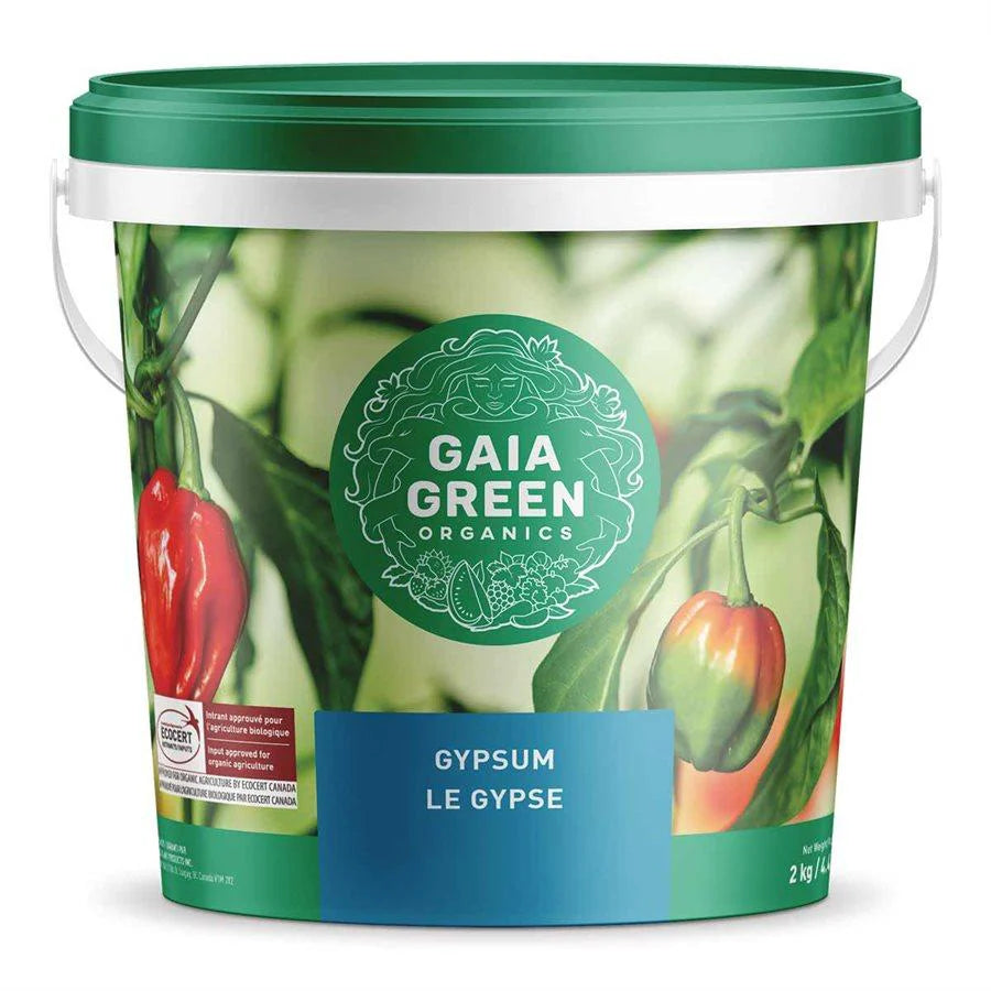 Gaia Green Le gypse