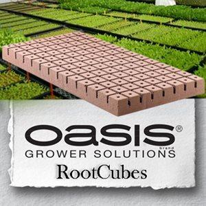 OASIS ROOTCUBES 1 1/4'' 104/FEUILLE #5010 (20)