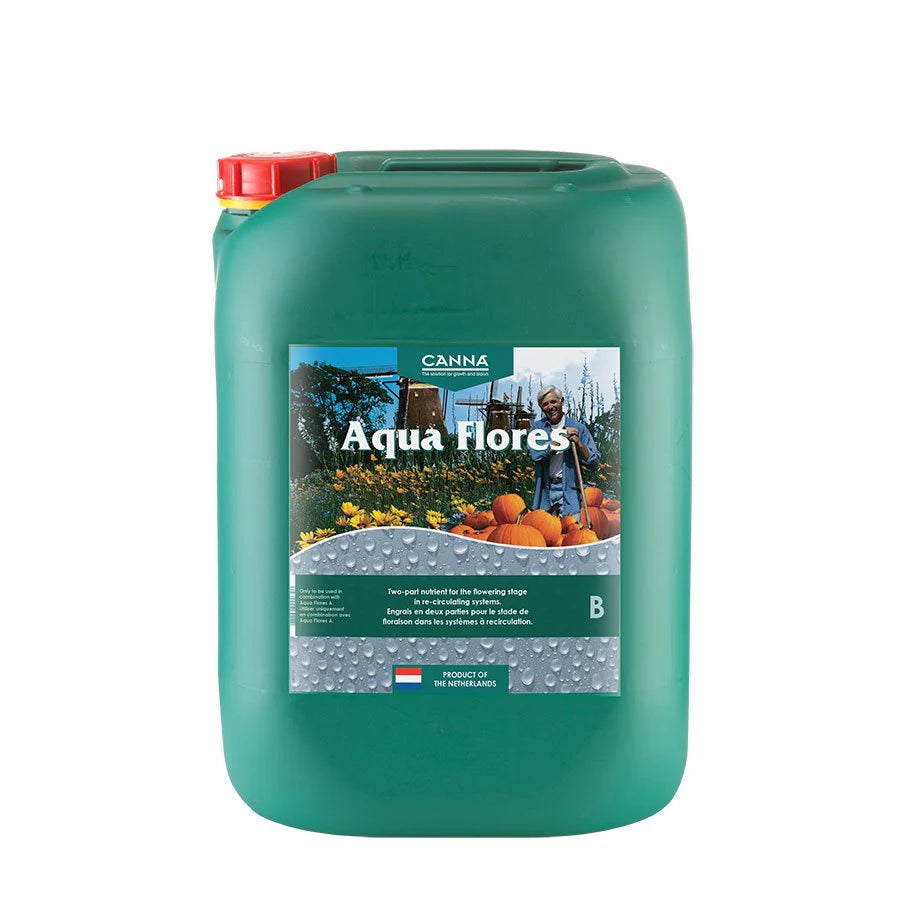 Canna Aqua Flores B 