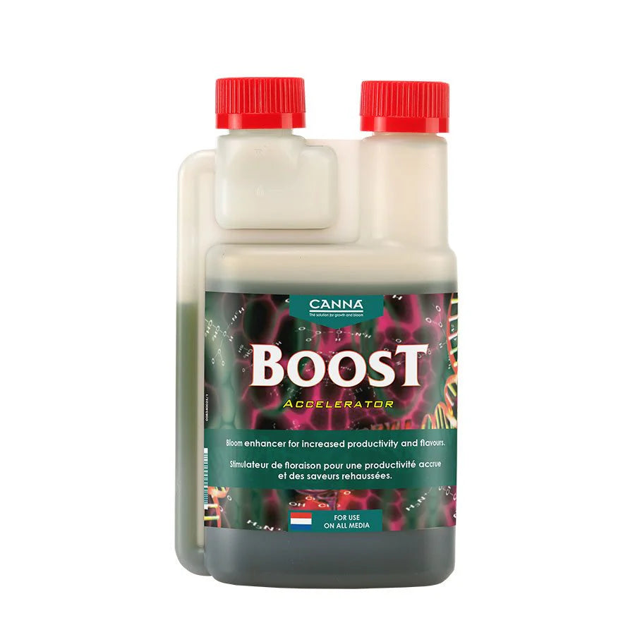 CANNA BOOST ACCELERATOR
