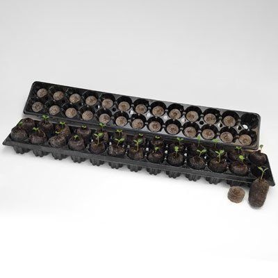 JIFFY STRIP INSERTION 26 CAVITÉS (1092)