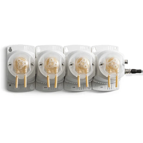 Péripode du labrador bleu