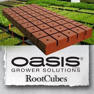 OASIS ROOTCUBES 1 1/2'' 50/FEUILLE #5015 (20)