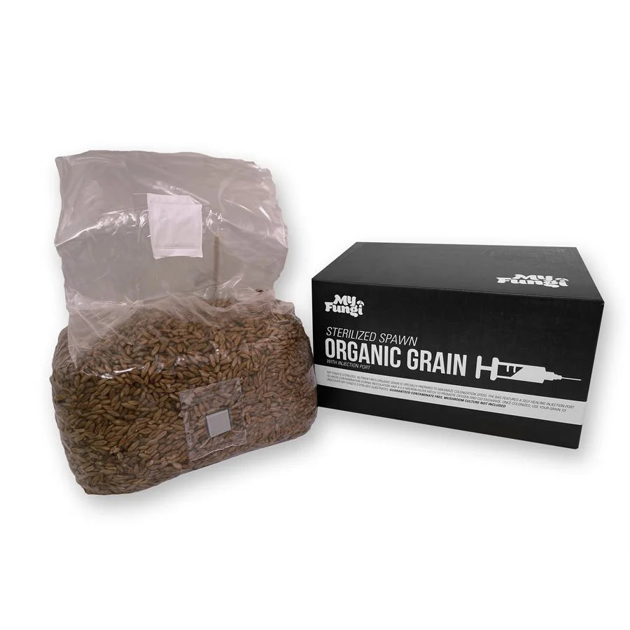 MYFUNGI SUBSTRAT STÉRILISÉ À GRAINS BIOLOGIQUES 5 LBS (1)